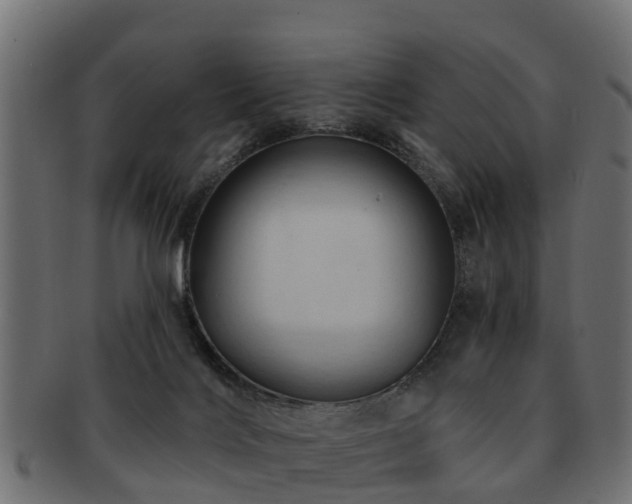 X0000093110028200709261259