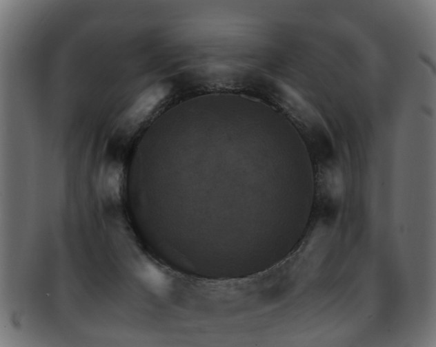 X0000093110029200709261259