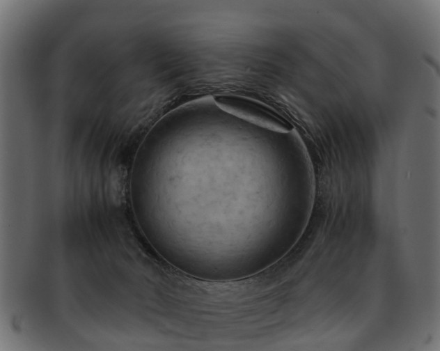 X0000093110030200709261259