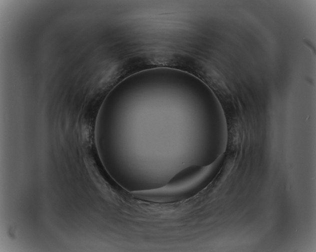 X0000093110031200709261259