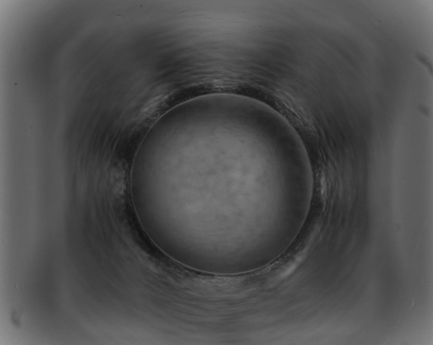 X0000093110032200709261259