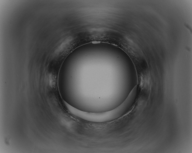 X0000093110033200709261259