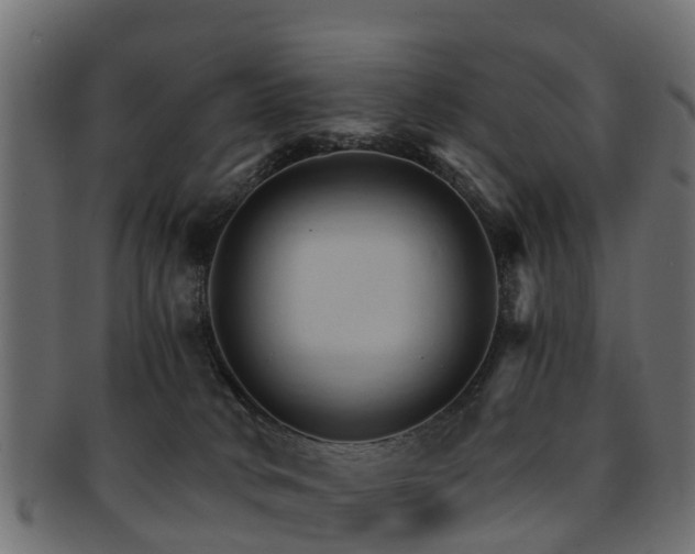 X0000093110034200709261259