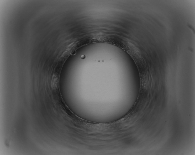 X0000093110036200709261259