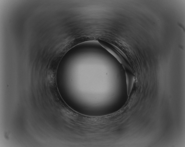 X0000093110037200709261259