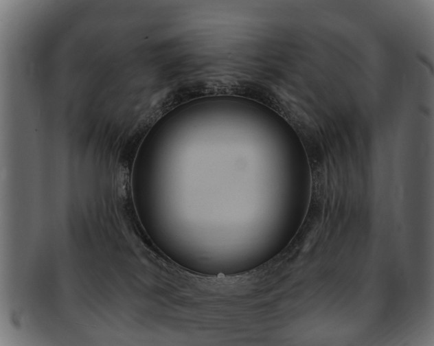 X0000093110038200709261259