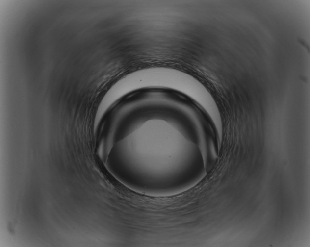 X0000093110039200709261259