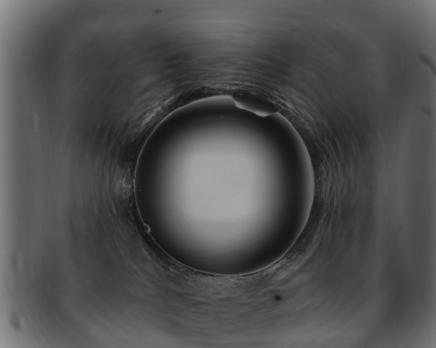 X0000093110040200709261259