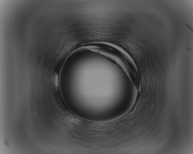 X0000093110041200709261259