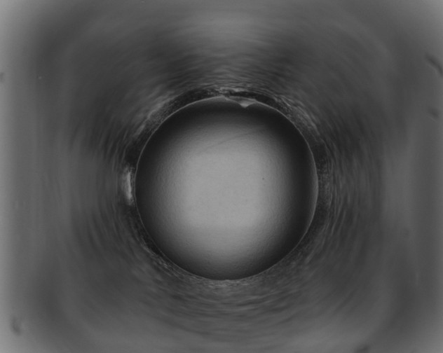 X0000093110042200709261259