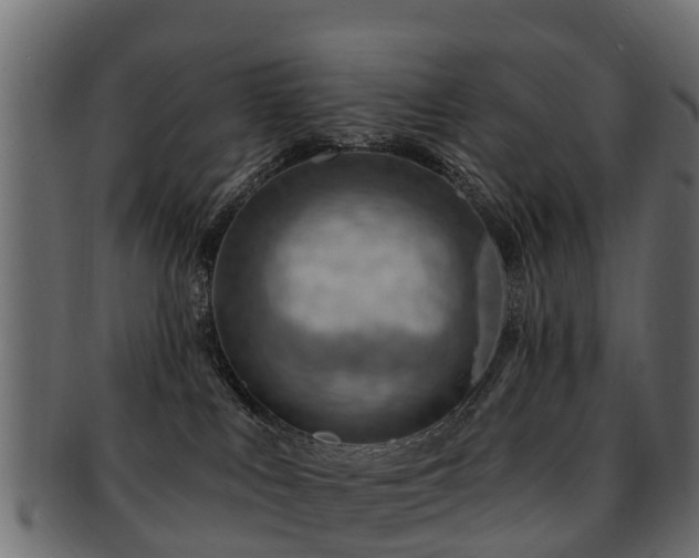 X0000093110043200709261259