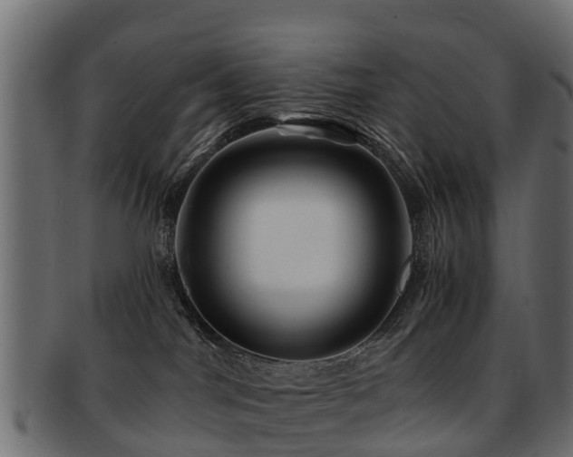 X0000093110044200709261259