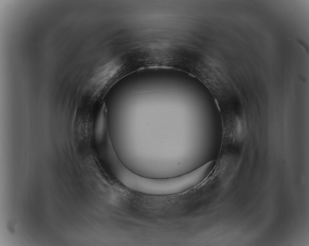 X0000093110045200709261259