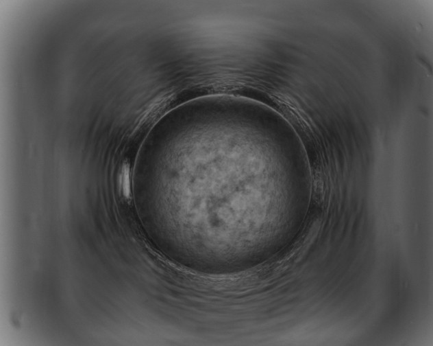 X0000093110046200709261259