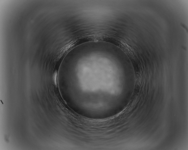X0000093110047200709261259