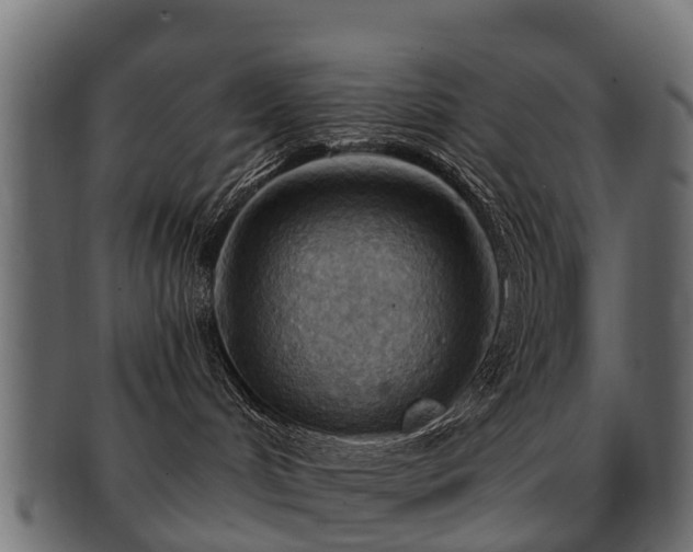 X0000093110048200709261259