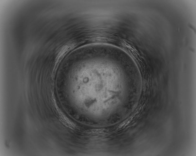 X0000093110049200709261258