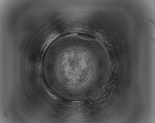 X0000093110050200709261258