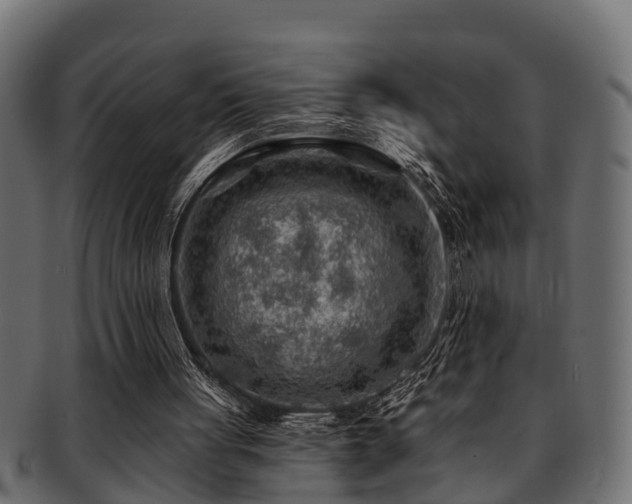 X0000093110051200709261258