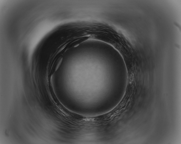 X0000093110052200709261258