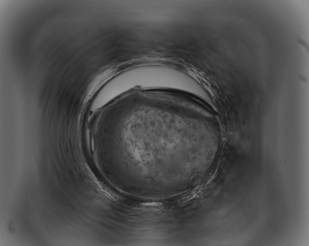 X0000093110053200709261258