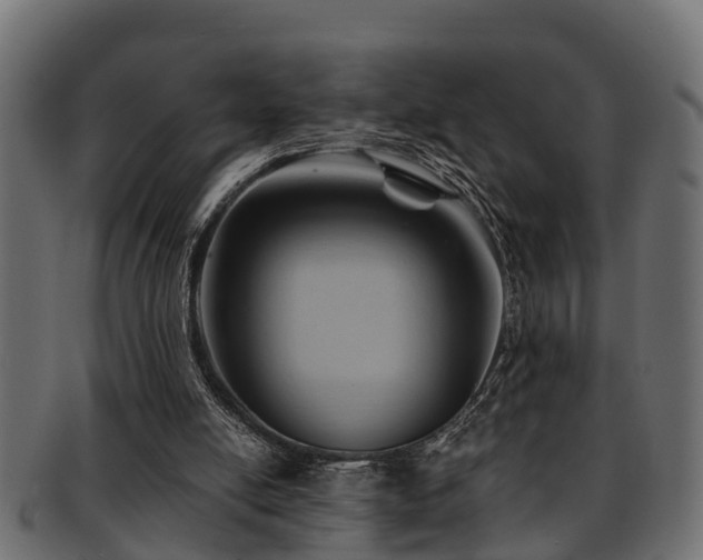 X0000093110054200709261258