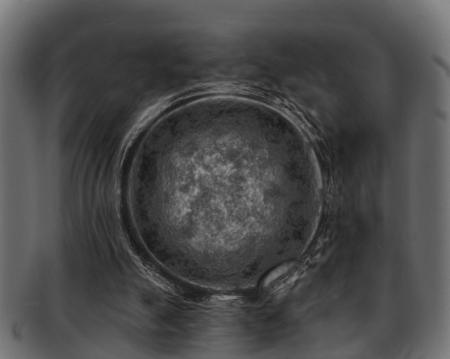 X0000093110055200709261258