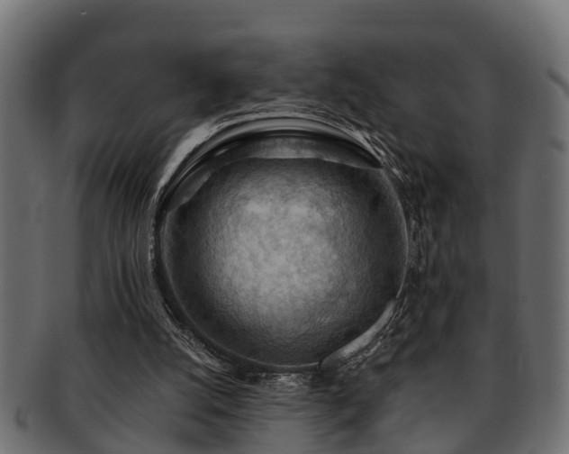X0000093110056200709261258