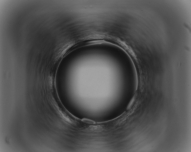 X0000093110057200709261258