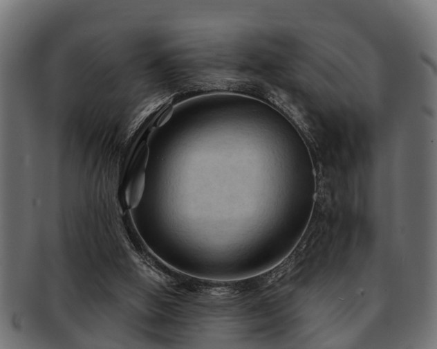 X0000093110058200709261258