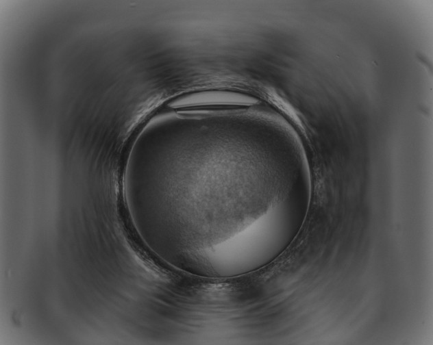 X0000093110059200709261258