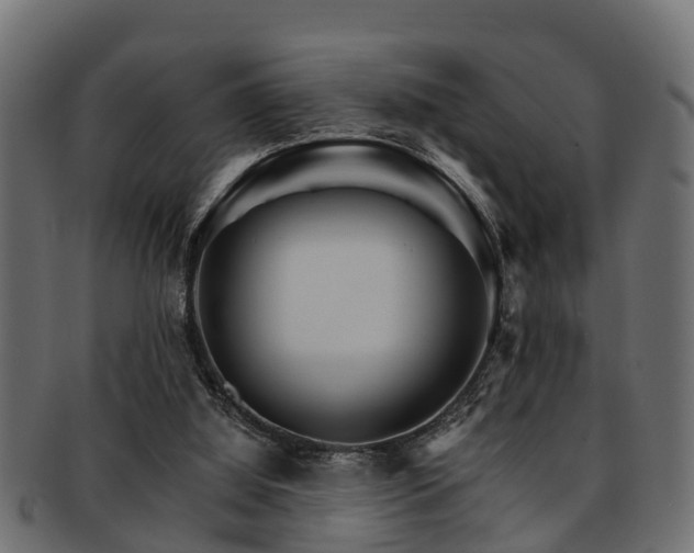 X0000093110060200709261258