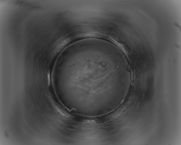 X0000093110061200709261258