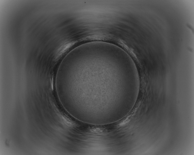 X0000093110062200709261258
