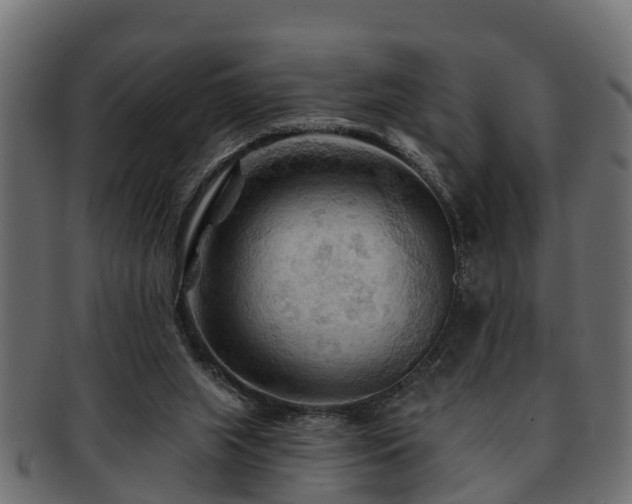 X0000093110063200709261258