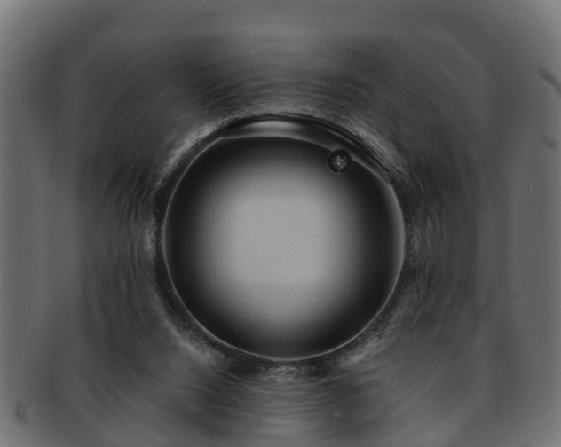 X0000093110064200709261258