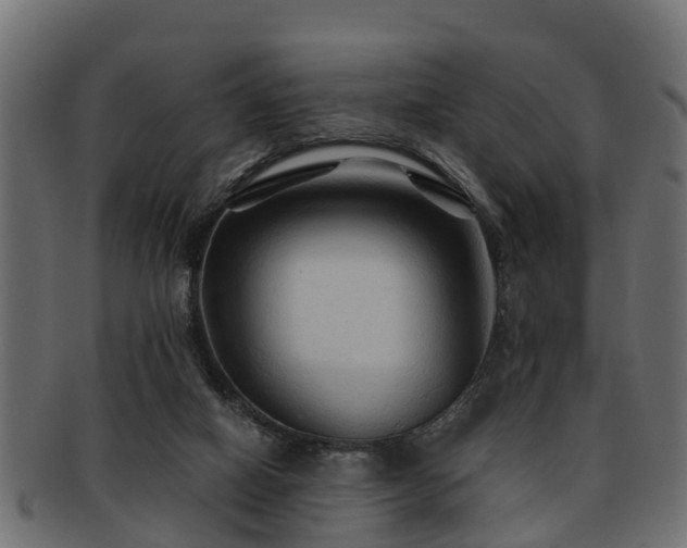 X0000093110066200709261258