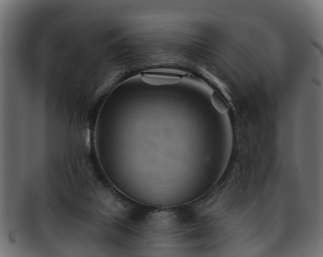 X0000093110067200709261258