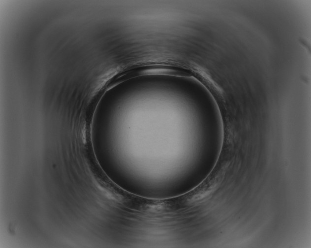 X0000093110068200709261258