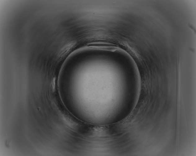 X0000093110070200709261259