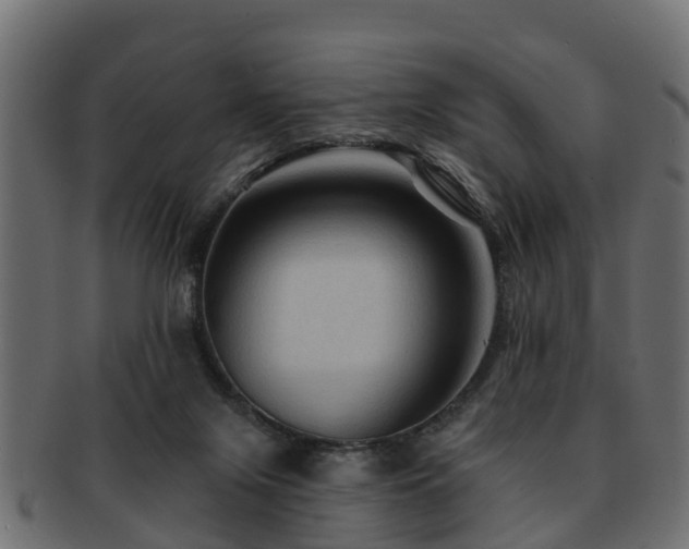 X0000093110071200709261259