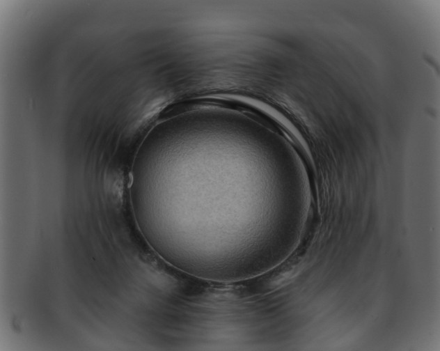 X0000093110072200709261259