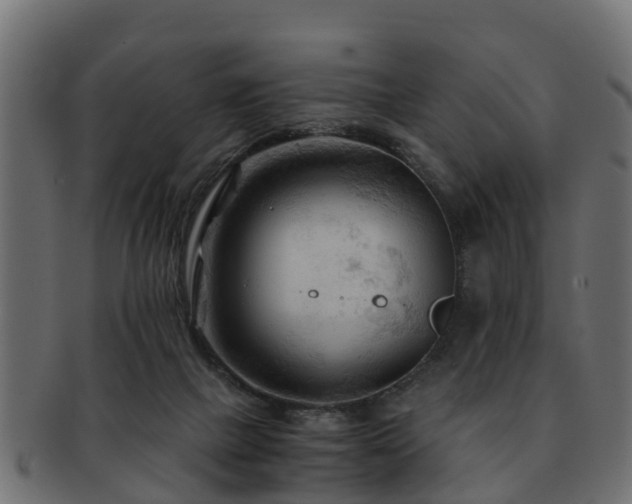 X0000093110073200709261259