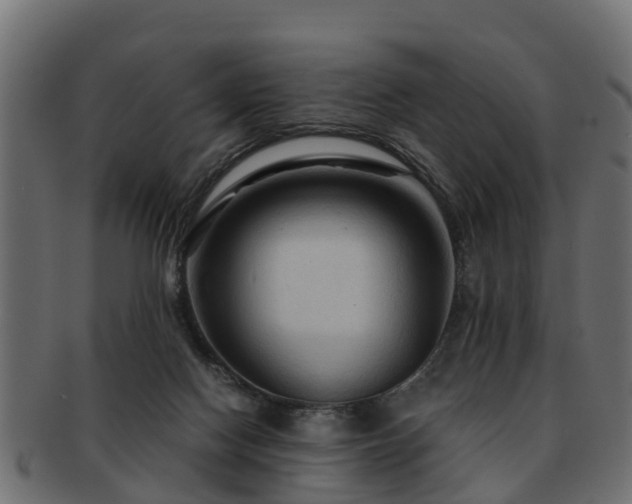X0000093110074200709261259