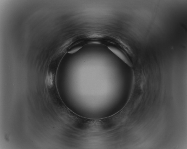 X0000093110075200709261259