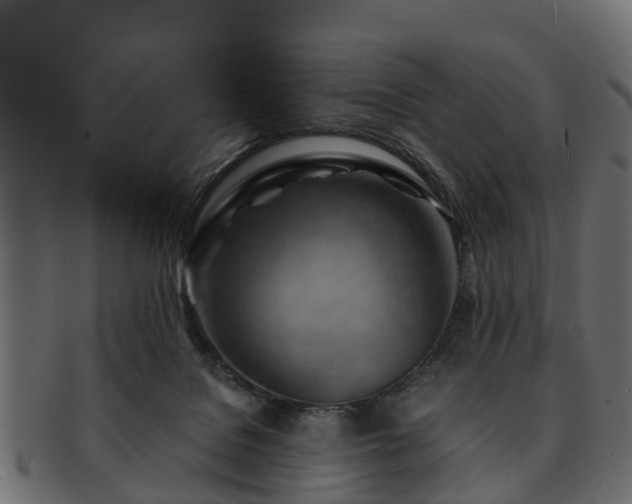 X0000093110076200709261259