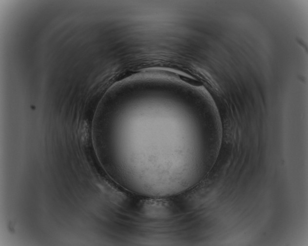 X0000093110077200709261259