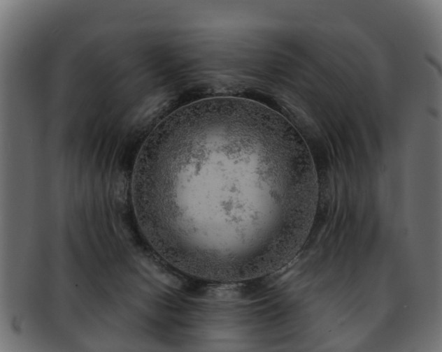 X0000093110078200709261259