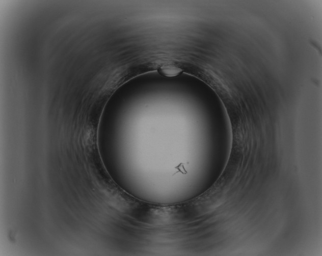 X0000093110079200709261259