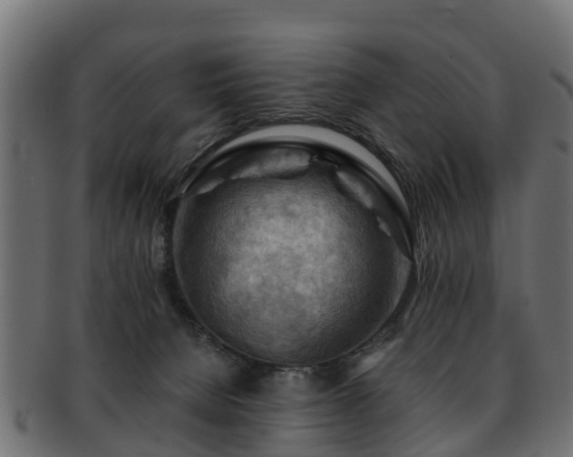 X0000093110080200709261259